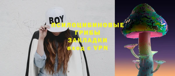 дурь Алзамай