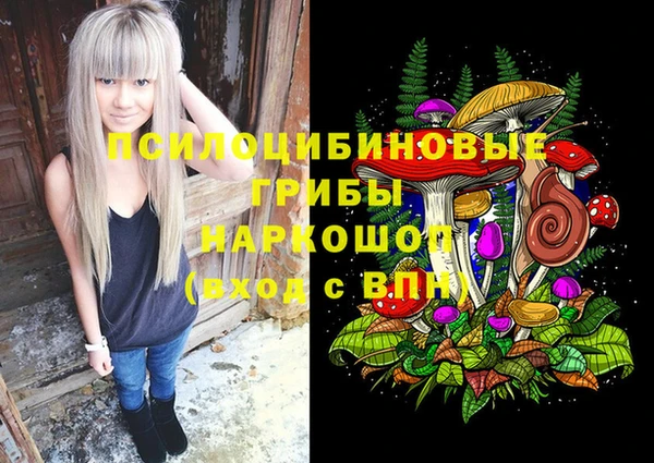 дурь Алзамай