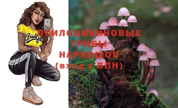 дурь Алзамай