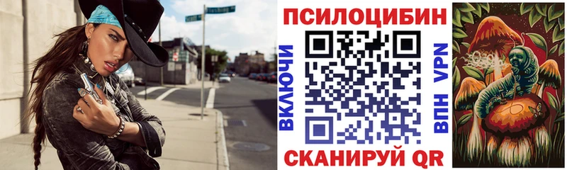 kraken онион  Медынь  Псилоцибиновые грибы ЛСД 